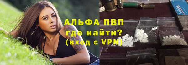 крисы Аркадак