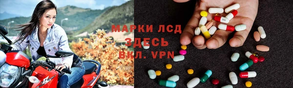 крисы Аркадак