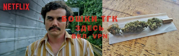трава Арсеньев