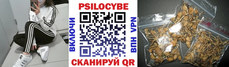 Псилоцибиновые грибы MAGIC MUSHROOMS  omg ссылки  дарк нет клад  Учалы 